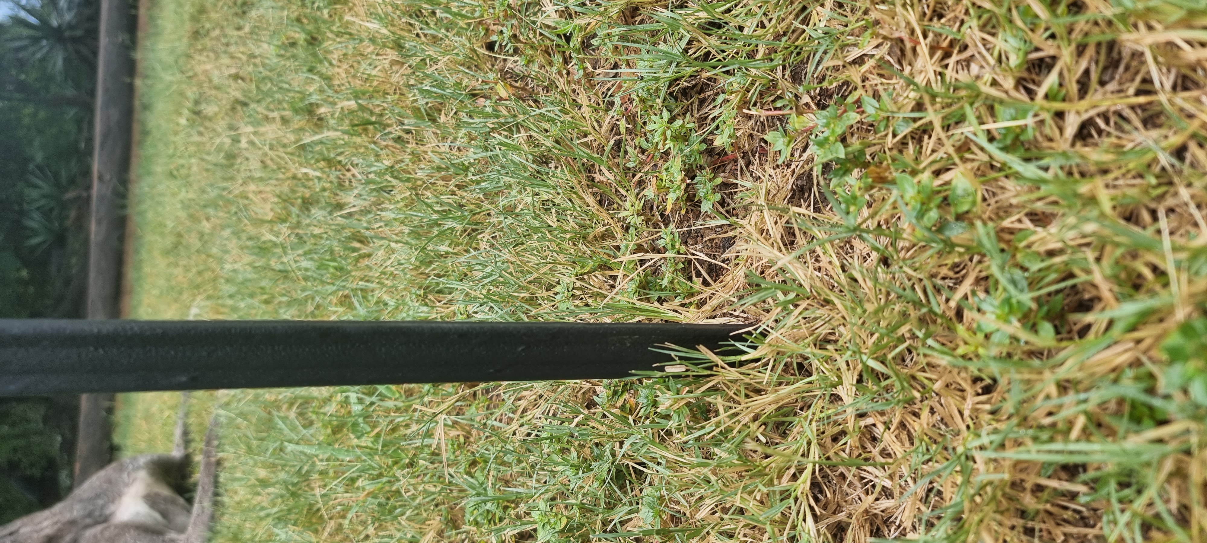 20230201105540-2485.jpg